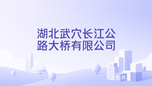 湖北武穴长江公路大桥有限公司