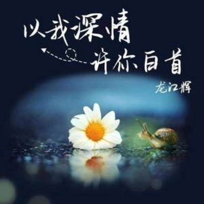 以我深情许你白首(龙江辉演唱的歌曲)