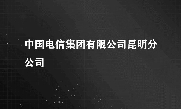 中国电信集团有限公司昆明分公司