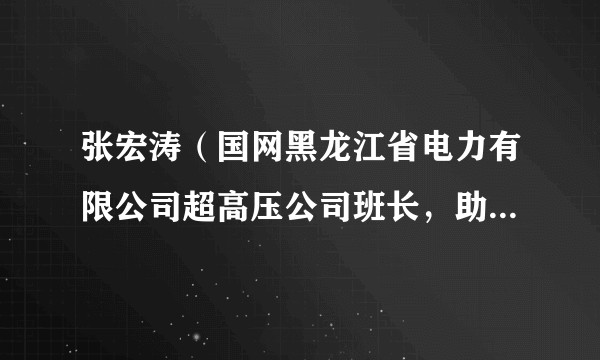 张宏涛（国网黑龙江省电力有限公司超高压公司班长，助理工程师、高级技师）