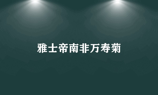 雅士帝南非万寿菊