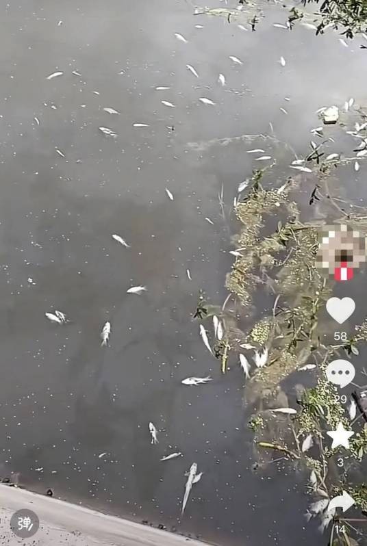 6·18广安浓溪河死鱼事件