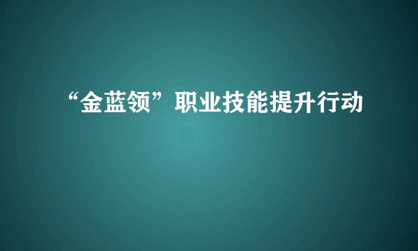 “金蓝领”职业技能提升行动