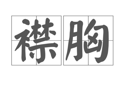襟胸