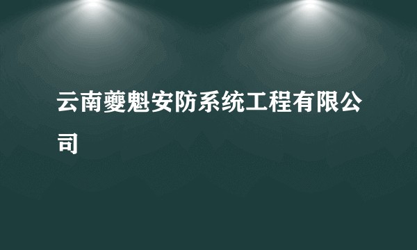云南夔魁安防系统工程有限公司