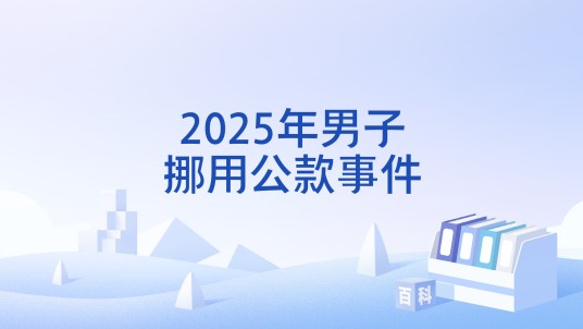 2025年男子挪用公款事件