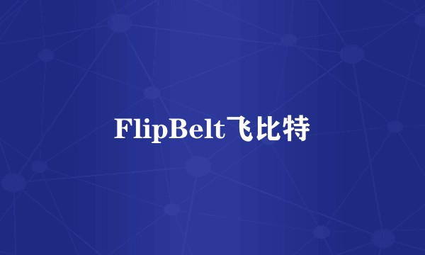 FlipBelt飞比特