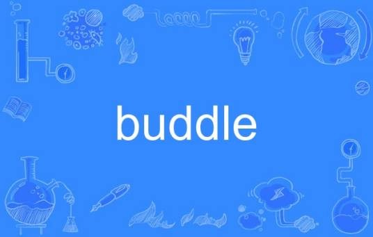 buddle