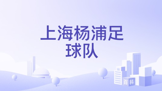 上海杨浦足球队