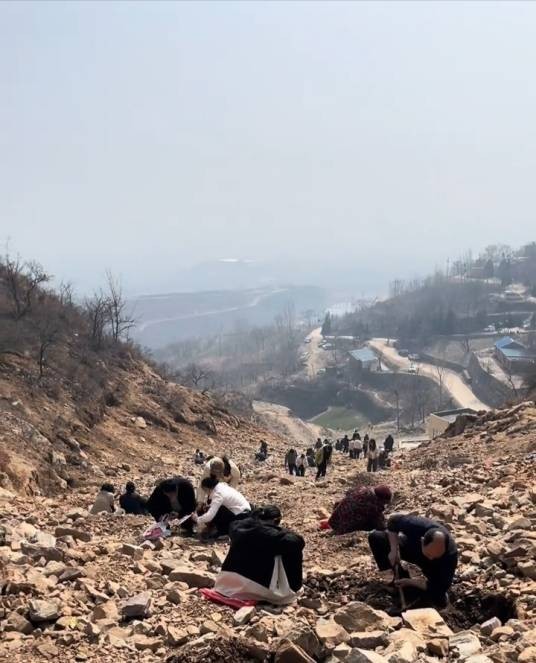 2026年新密山坡免费挖玉事件
