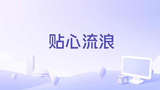 贴心流浪