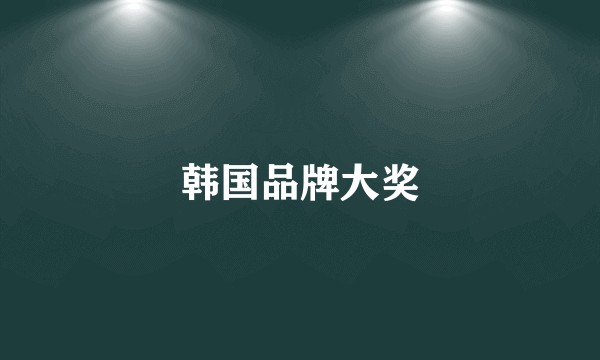 韩国品牌大奖