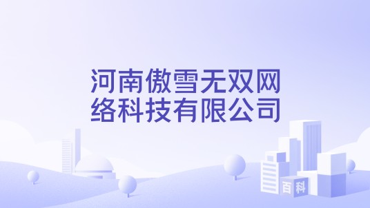 河南傲雪无双网络科技有限公司