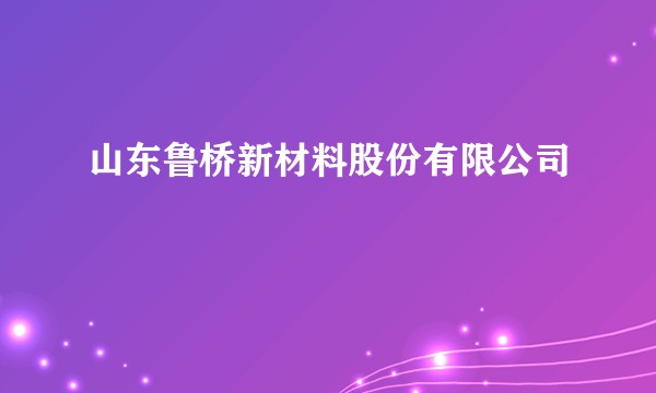 山东鲁桥新材料股份有限公司