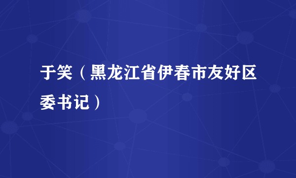 于笑（黑龙江省伊春市友好区委书记）