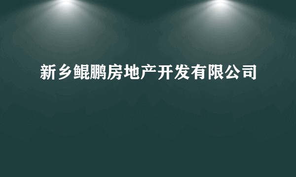 新乡鲲鹏房地产开发有限公司