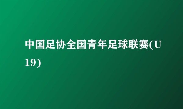 中国足协全国青年足球联赛(U19)