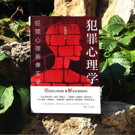 犯罪心理学（2019年台海出版社出版的图书）