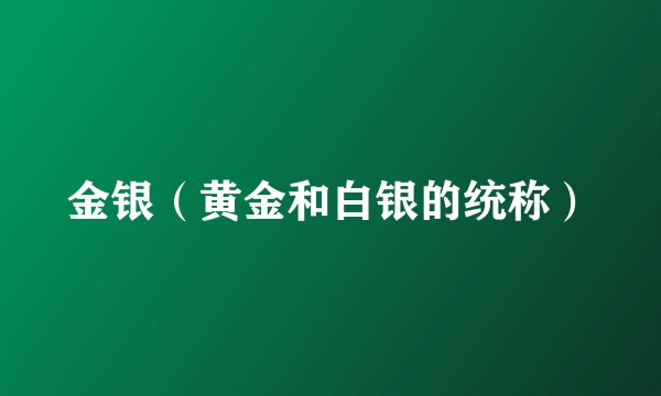 金银（黄金和白银的统称）