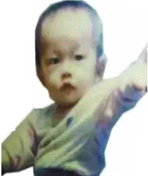陈前进(“梅姨”案拐卖儿童)