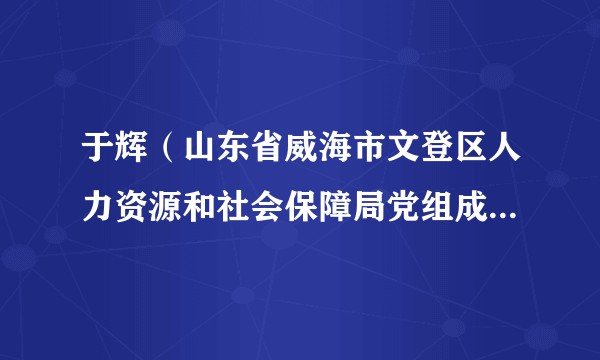 于辉（山东省威海市文登区人力资源和社会保障局党组成员、人才创新发展中心主任）