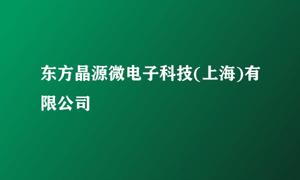 东方晶源微电子科技(上海)有限公司