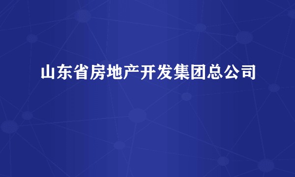 山东省房地产开发集团总公司