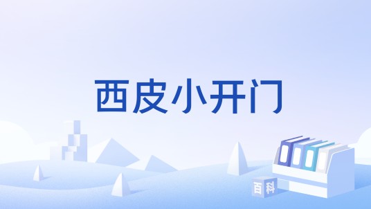 西皮小开门