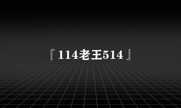 『114老王514』