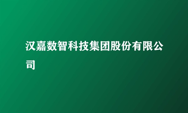 汉嘉数智科技集团股份有限公司