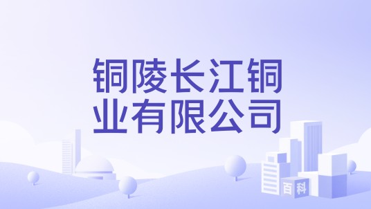 铜陵长江铜业有限公司