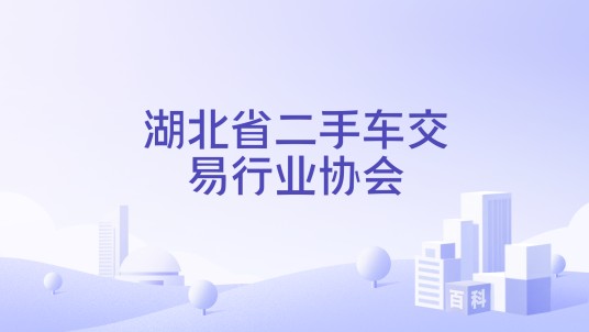 湖北省二手车交易行业协会