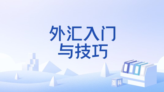 外汇入门与技巧