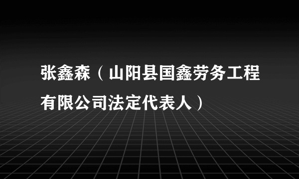 张鑫森(山阳县国鑫劳务工程有限公司法定代表人)