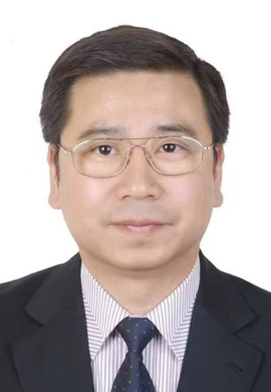 李冰（中国企业联合会党委委员、驻会副会长）