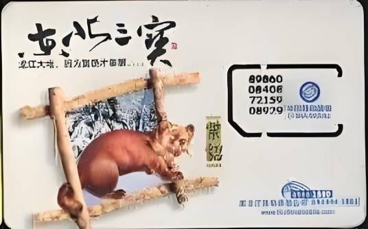 天之骄子卡