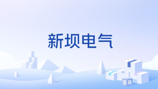 新坝电气