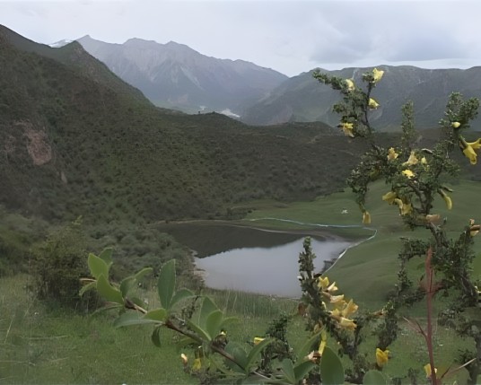贵德古八景