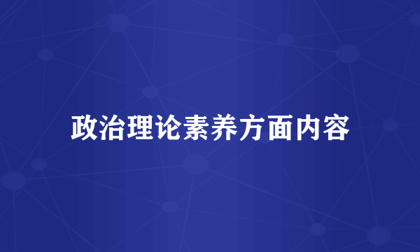 政治理论素养方面内容