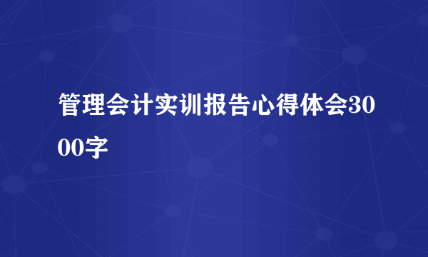 管理会计实训报告心得体会3000字