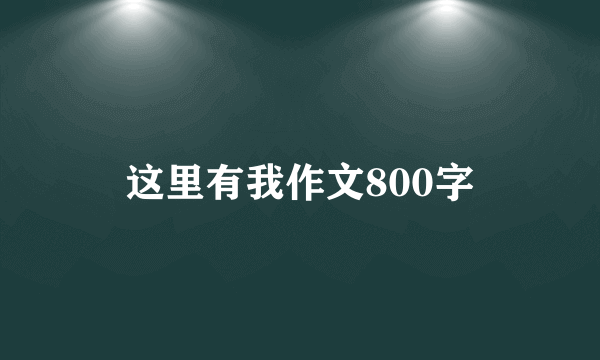 这里有我作文800字