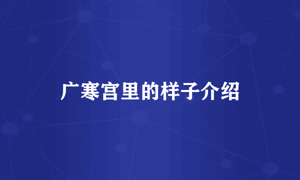 广寒宫里的样子介绍