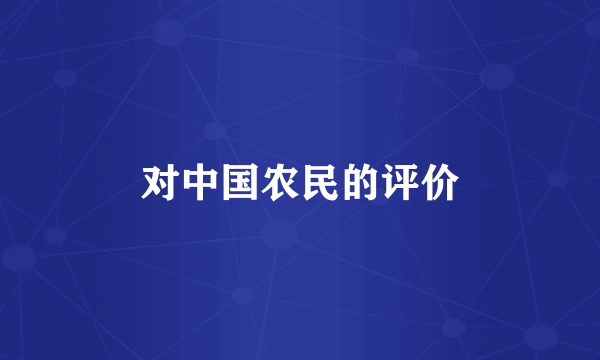 对中国农民的评价