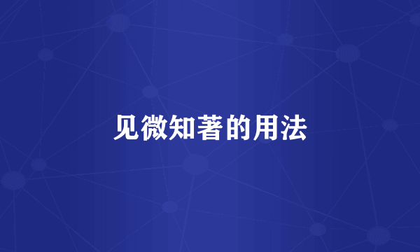 见微知著的用法