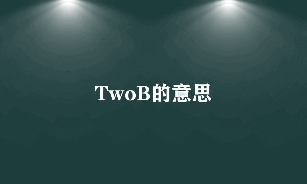 TwoB的意思