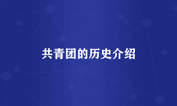 共青团的历史介绍
