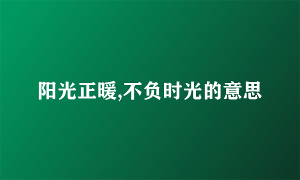 阳光正暖,不负时光的意思