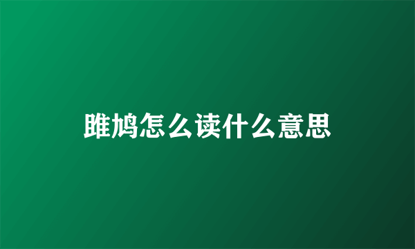 雎鸠怎么读什么意思