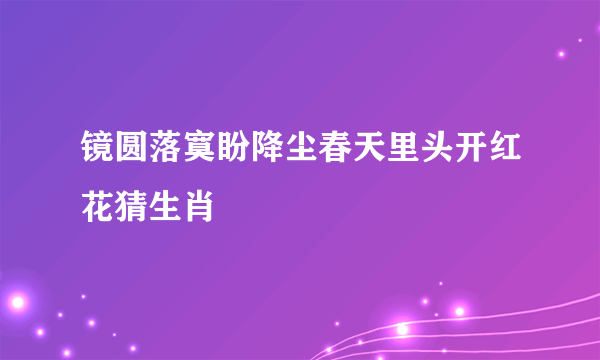 镜圆落寞盼降尘春天里头开红花猜生肖