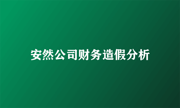 安然公司财务造假分析